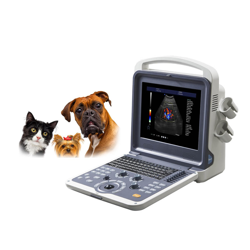 Portable type Color doppler