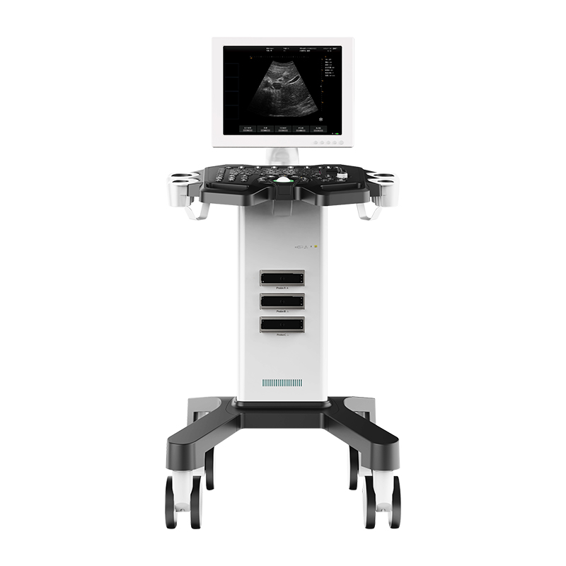 Trolley type Black and White Ultrasound Machine