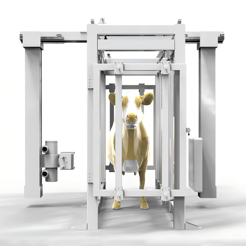 High-Freguency Digital LargeAnimal X-Ray Machine